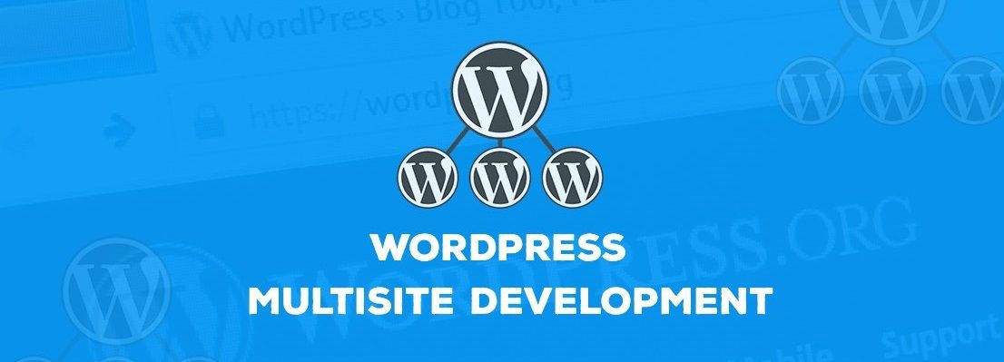 WordPress Multisite development
